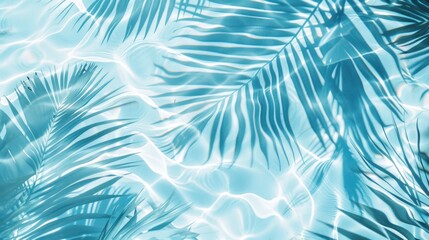 Palm Tree Shadows in Water