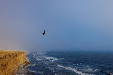 Sunset over Red Sand Cliffs