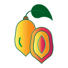 miracle fruit icon