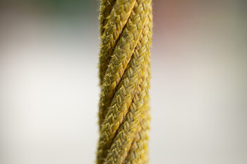 close up rope single thread macro photography fabric material yellow color object on neutral blurred background with empty space template concept picture