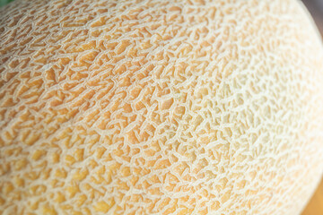 Melon close-up. Melon skin macro