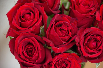 赤い薔薇