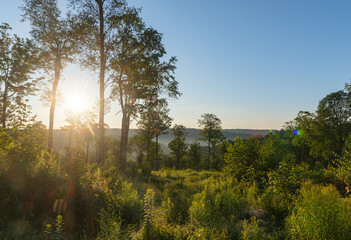 Morning sunrise woodland landscape, stunning sunrise summer vacation, inspiring natural background image