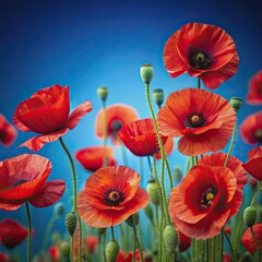 Obraz premium Vibrant red poppy flowers spread across a serene blue background, symbolizing respect, gratitude, and solemn remembrance for fallen heroes on memorial days.
