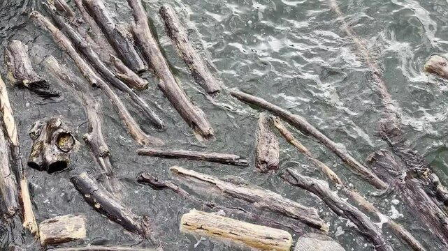 tronchi di legno in movimento nell'acqua, wooden logs moving in the water