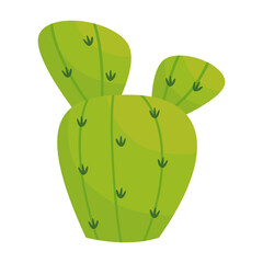 garden plant desert flower green cactus vector illustratin