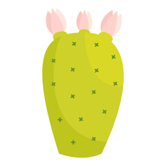 garden plant desert flower green cactus vector illustratin