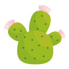 garden plant desert flower green cactus vector illustratin