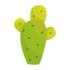 garden plant desert flower green cactus vector illustratin