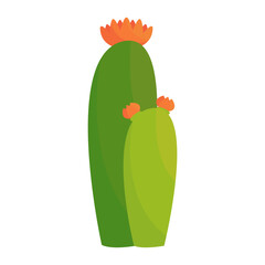 garden plant desert flower green cactus vector illustratin