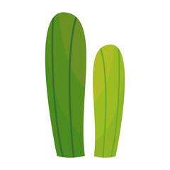 garden plant desert flower green cactus vector illustratin