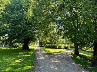 Beautiful view of pathway and green trees in park on sunny day