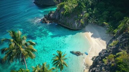 A beautiful beach with palm trees and a blue ocean © PhotoStudioWizard
