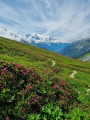 Picturesque view of the Mont Blanc mountain and glacier while hiking Tour du Mont Blanc. Popular tourist attraction. Alps, Chamonix-Mont-Blanc, France, Europe.
