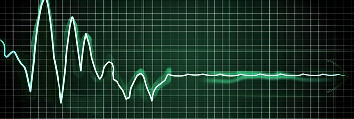 Electrocardiogram (ECG) Pulse Display
