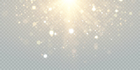 Sparkling Christmas gold particles, glowing bokeh lights isolated on transparent background Adobe Illustrator Artwork