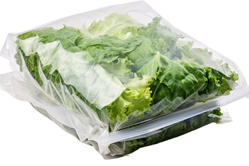 Crisp Confinement: A Surreal Portrait of Garbaged Greenery on White or PNG Transparent Background.