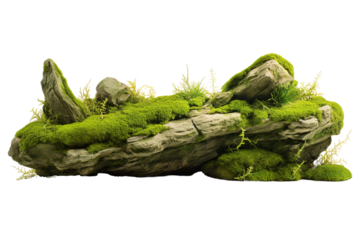 Enchanted Moss Rock Oasis on White or PNG Transparent Background.