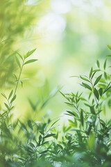 Obraz premium Close-up of green leafy plants with a soft focus background, representing growth and nature.