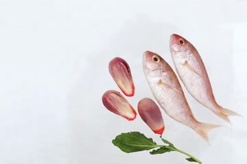 Fresh fish, pickled eggplant, free space, copy space, top view, background