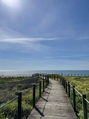Fototapeta premium boardwalk to the beach in Portugal