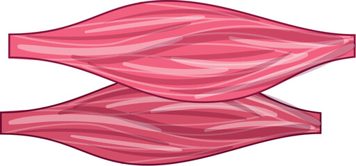 Illustration of two human muscle tissues contracting and expanding