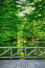 Beautiful nature view in Seven Lakes (Yedi Goller) National Park, Bolu, Turkey.