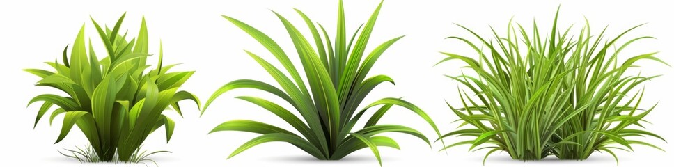 Obraz premium Detailed Hyperrealistic Smooth Arugula Isolated On Transparent Background PNG