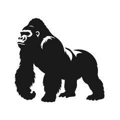 Black and white vector silhouette of a Gorilla isolated on white background	
