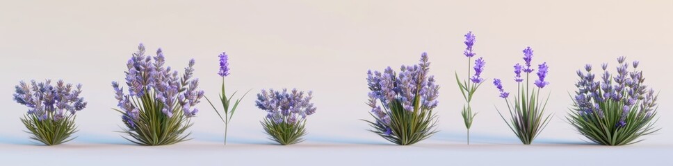 Naklejka premium Flower plant with lavender blossoms hyperrealistic and highly detailed isolated on transparent background