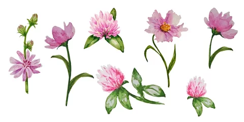 Fotobehang Tropische Bladeren Hand drawn set of watercolor pink flowers white background  © al