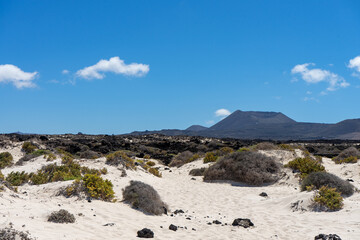 Wüstenlandschaft mit vulkanischen Bergen auf Lanzarote