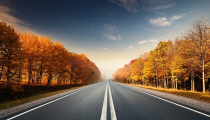 Fototapeta premium road in autumn