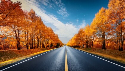 Fototapeta premium road in autumn forest