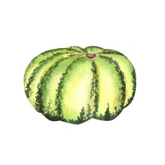 A large green pumpkin. Fall vegetable harvest festival. Thanksgiving pumpkin. Pumpkin patch clipart. Hand-drawn watercolor illustration.