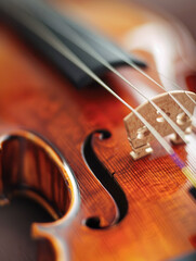 Fototapeta premium Detailed Violin Side View - Elegant Musical Instrument Art