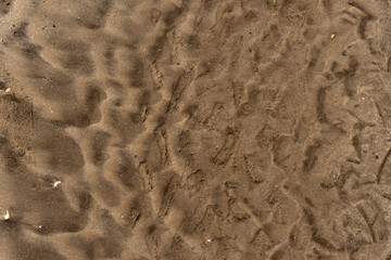 Natural texture: top view of beach sand, clear, clean and smooth. Minimalist background for summer concepts, travel, vacations and outdoor enjoyment.