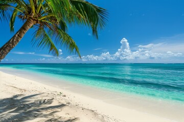 Tropical oasis: palm tree, turquoise sea, white sandy beach, sunny skies