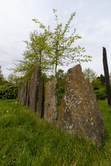 stone wall in the park