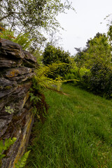 stone wall in the park