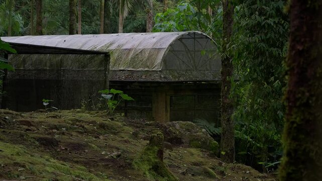 Abandoned greenhouse in the forest slow motion