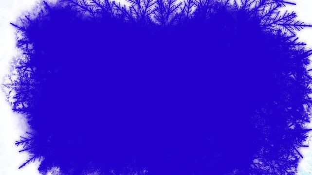 Winter holidays animated snowflakes on bblue background. Animation with falling snowflakes
