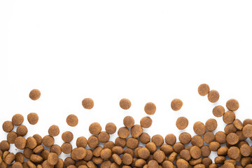 Healthy dog ​​food containing protein, fat and carbohydrates