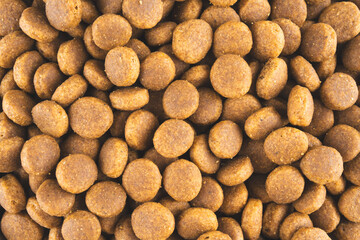 Healthy dog ​​food containing protein, fat and carbohydrates