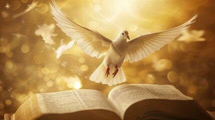 White dove flying above an open Bible with a golden light background, symbolizing peace and divinity