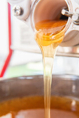 Viscous Golden Bee Honey Flowing Out After Harvesting Close Up