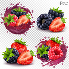 Vector set of ripe wild forest berries. Realistic transparent juice splash, different variants. Raspberry, blackberry, strawberry mix. 3D fruit icons for fresh drinks packaging design