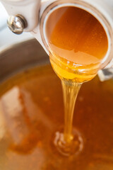 Viscous Golden Bee Honey Flowing Out After Extraction Close Up