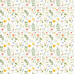 Botanical watercolor pattern, white background