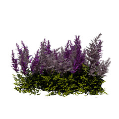 Front view of Plant Gardent plant) Tree